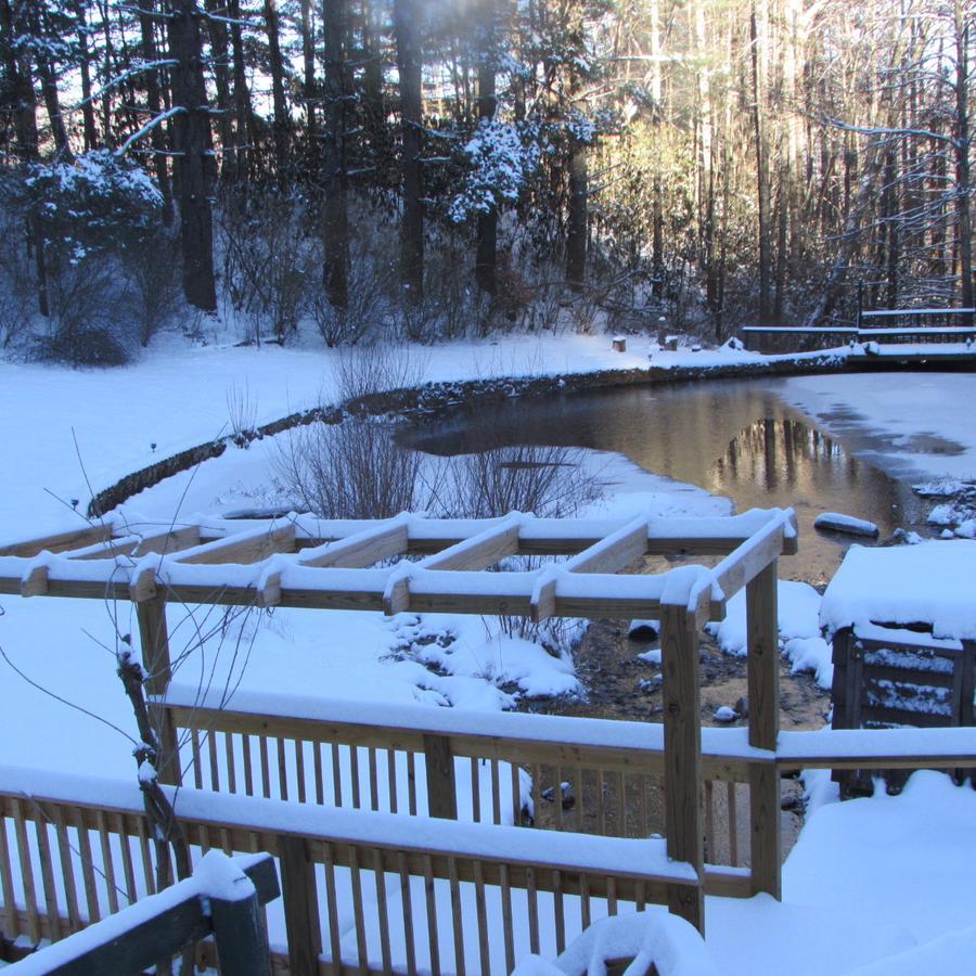 Red Leaf River Inn Уэйнсвилл Экстерьер фото